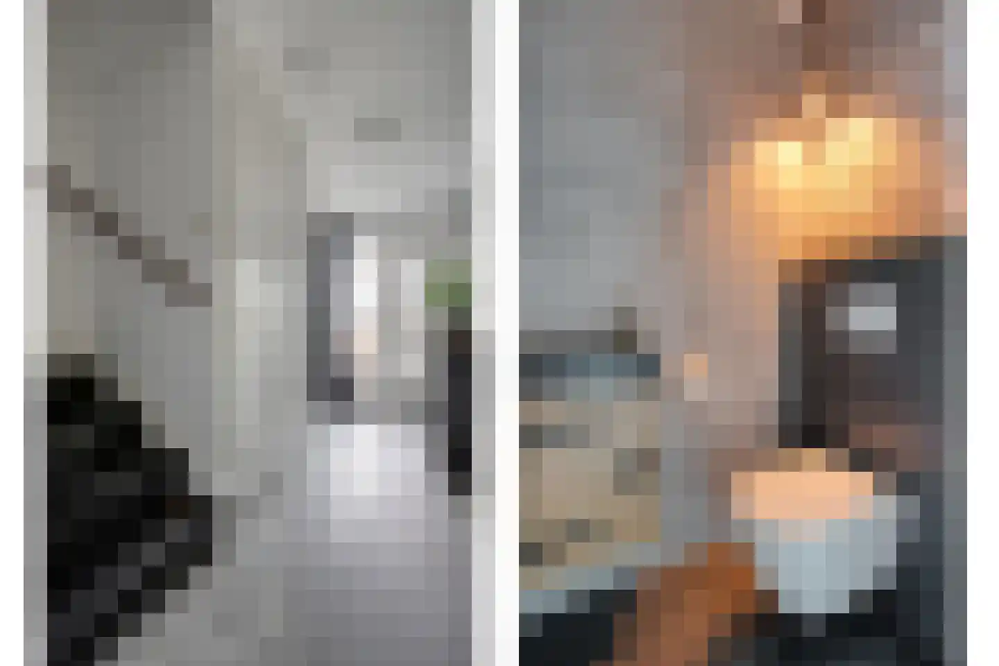 Geerdinkserf 55 Dalfsen thumbnail 8