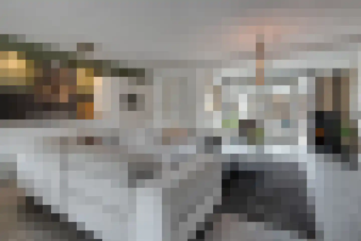 Geerdinkserf 55 Dalfsen thumbnail 9
