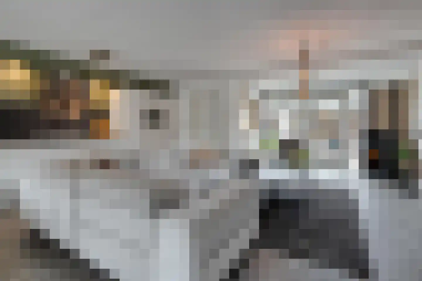 Geerdinkserf 55 Dalfsen thumbnail 9