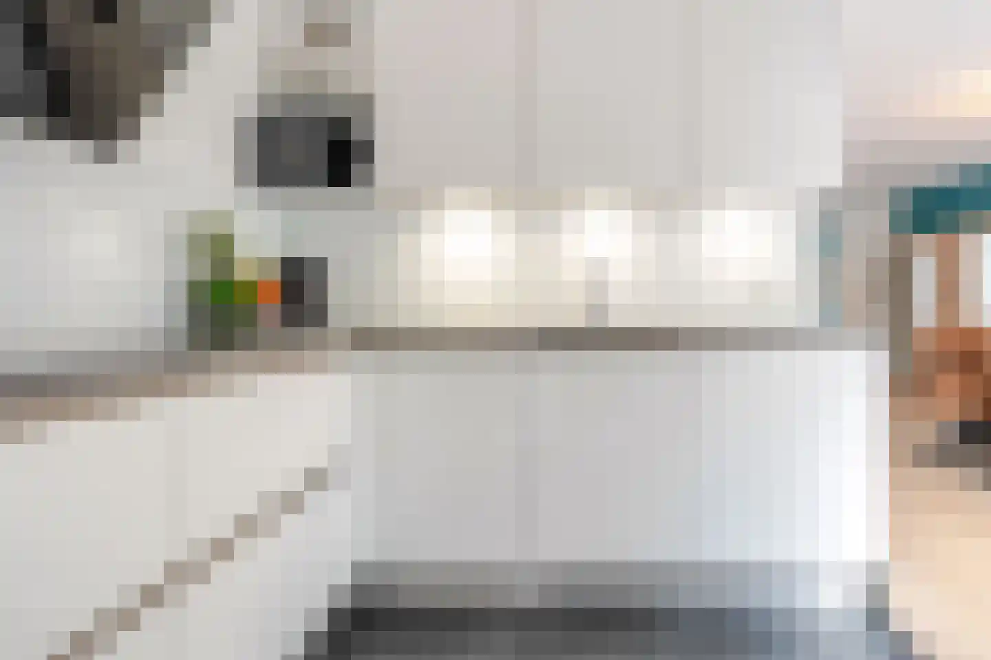 Geerdinkserf 56 Dalfsen thumbnail 13