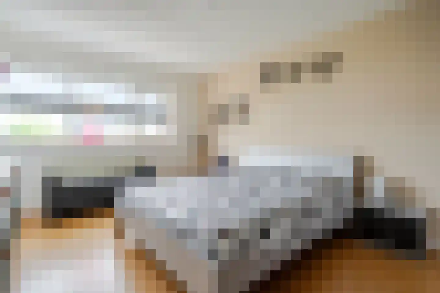 Geerdinkserf 56 Dalfsen thumbnail 18