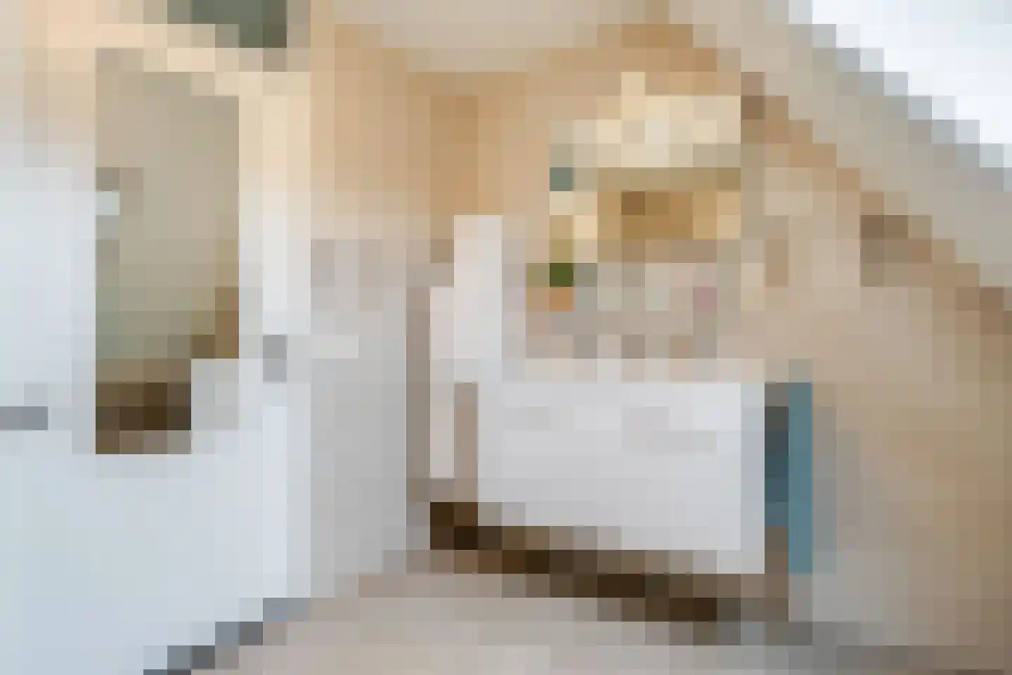 Geerdinkserf 56 Dalfsen thumbnail 24
