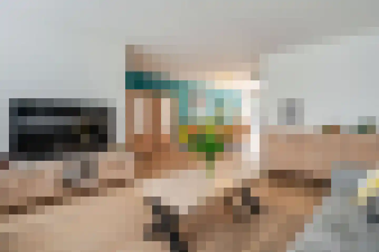 Geerdinkserf 56 Dalfsen foto 3
