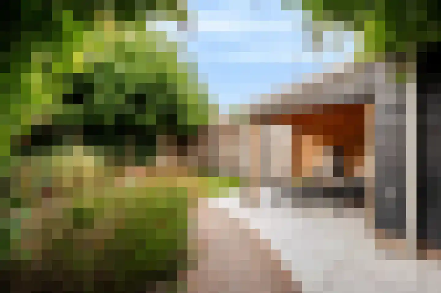Geerdinkserf 56 Dalfsen thumbnail 32