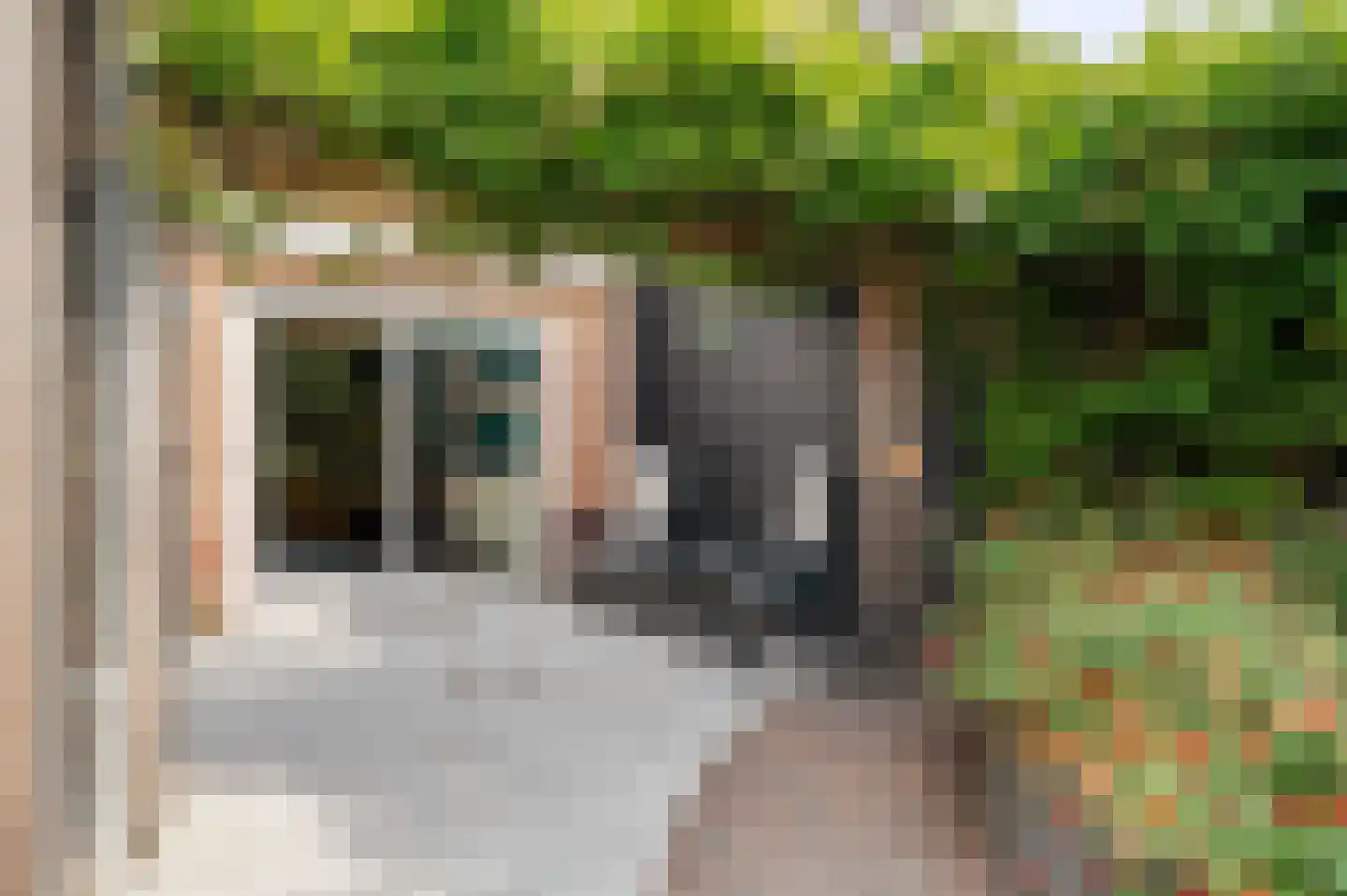 Geerdinkserf 56 Dalfsen thumbnail 33