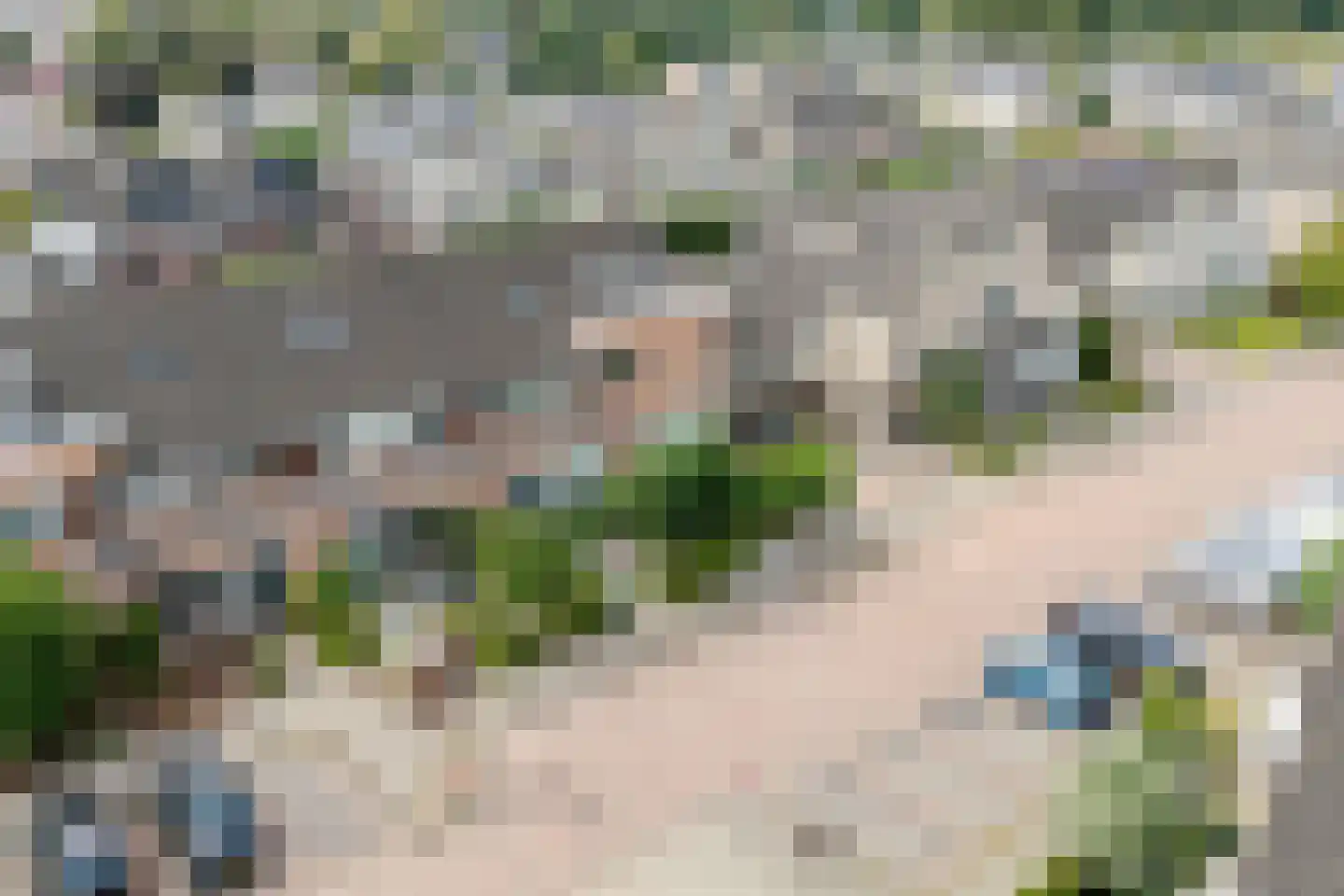 Geerdinkserf 56 Dalfsen thumbnail 36