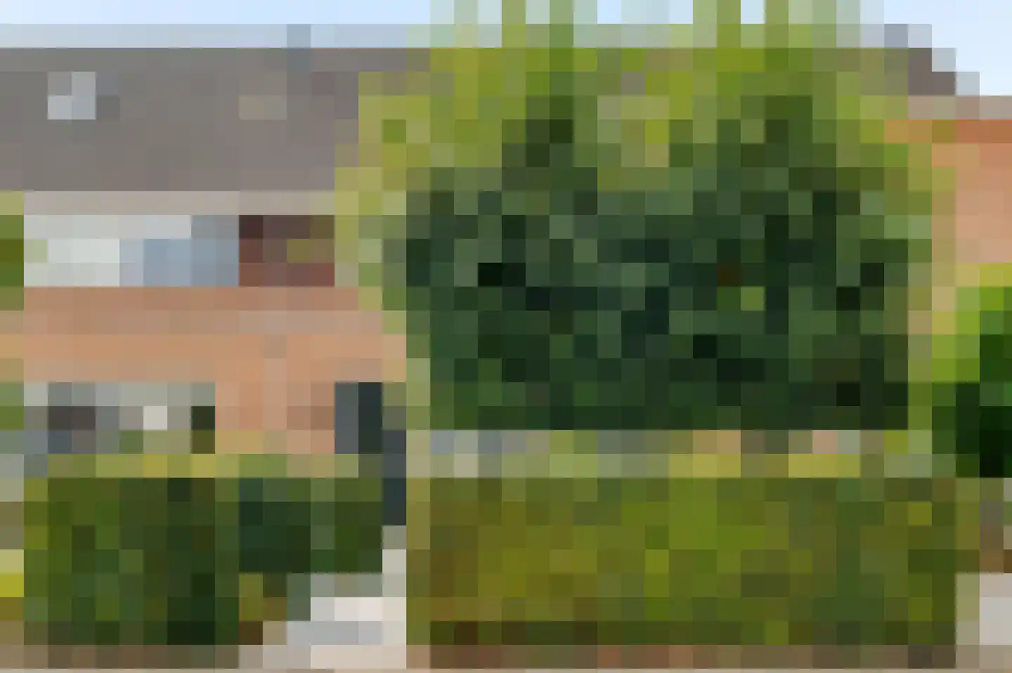 Geerdinkserf 56 Dalfsen thumbnail 38