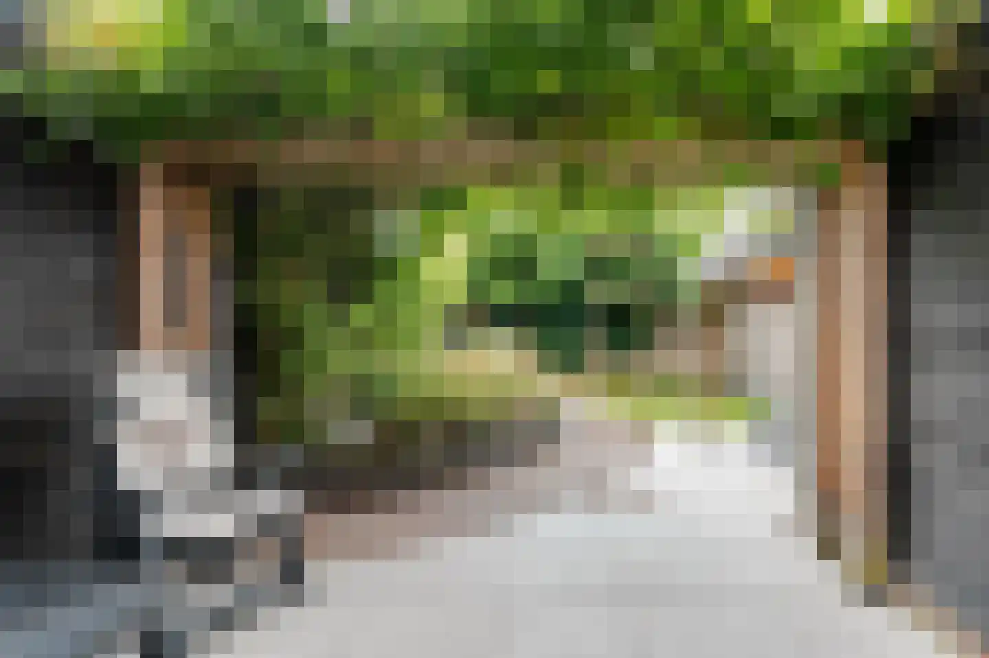 Geerdinkserf 56 Dalfsen thumbnail 4