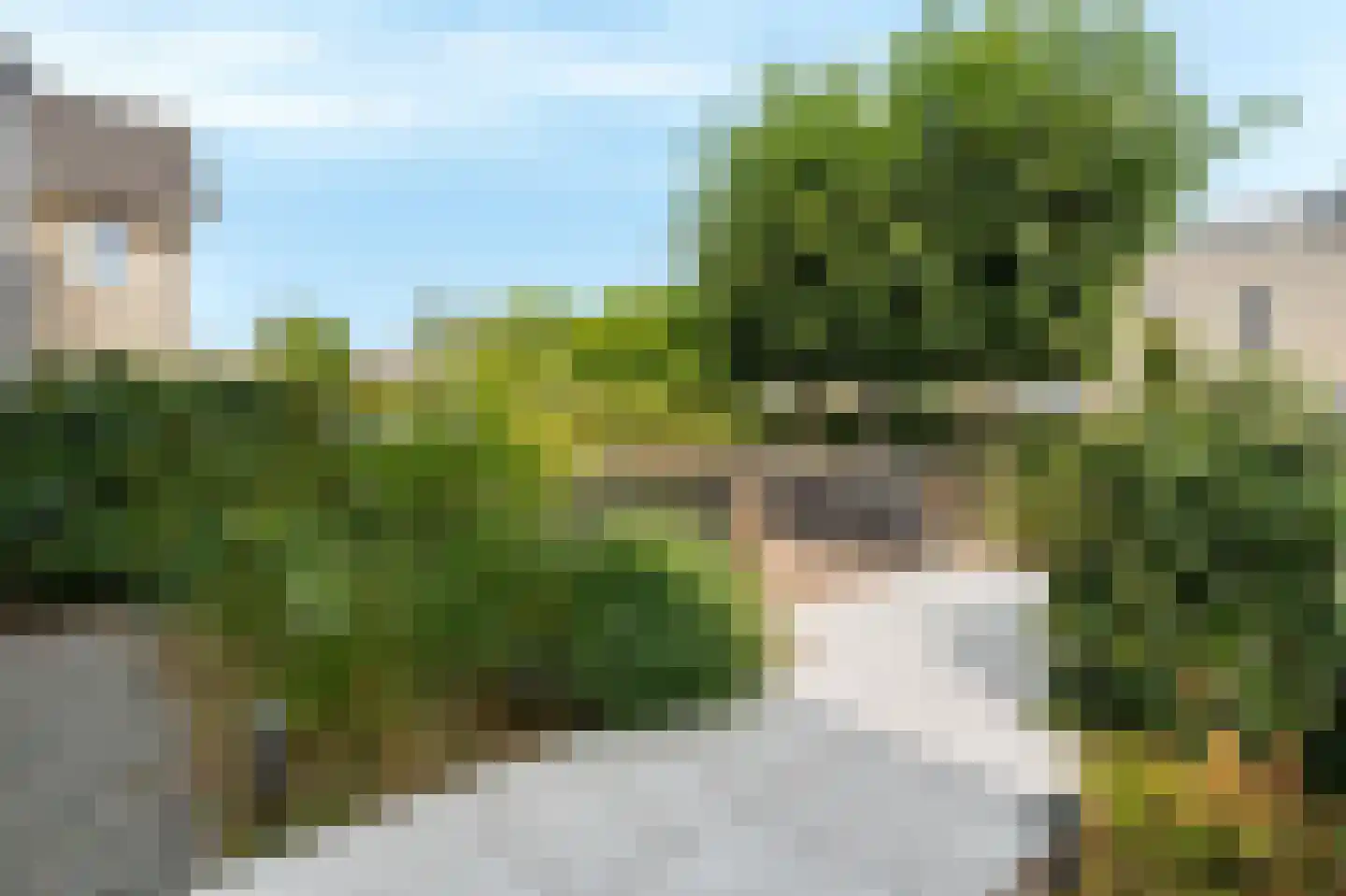 Geerdinkserf 56 Dalfsen thumbnail 40