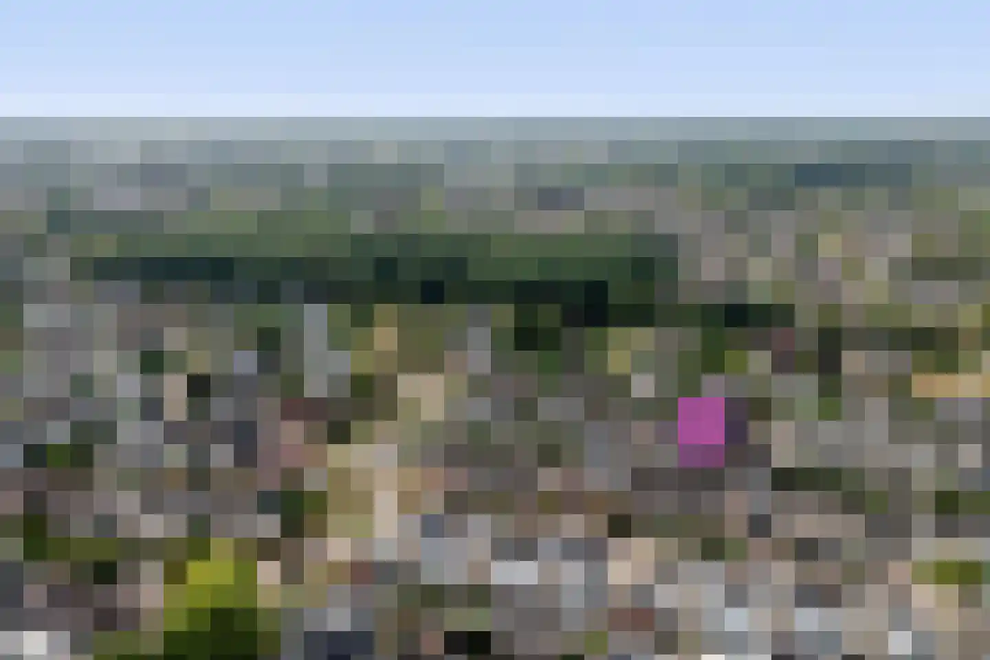 Geerdinkserf 56 Dalfsen thumbnail 41