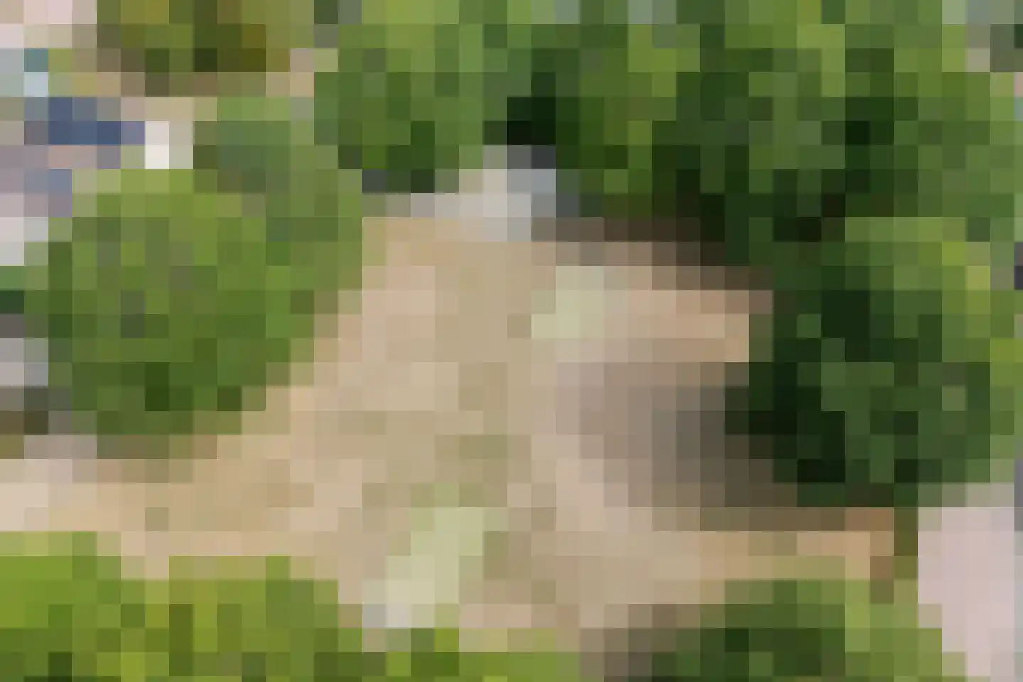 Geerdinkserf 56 Dalfsen thumbnail 43