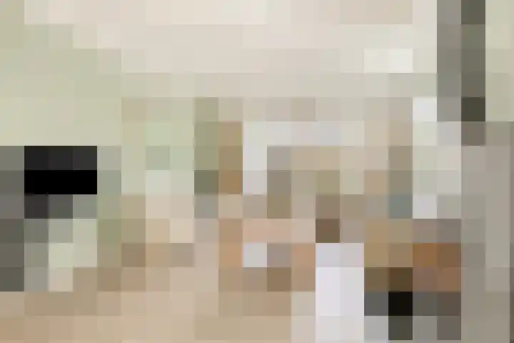 Geerdinksweg 111 Hengelo thumbnail 14