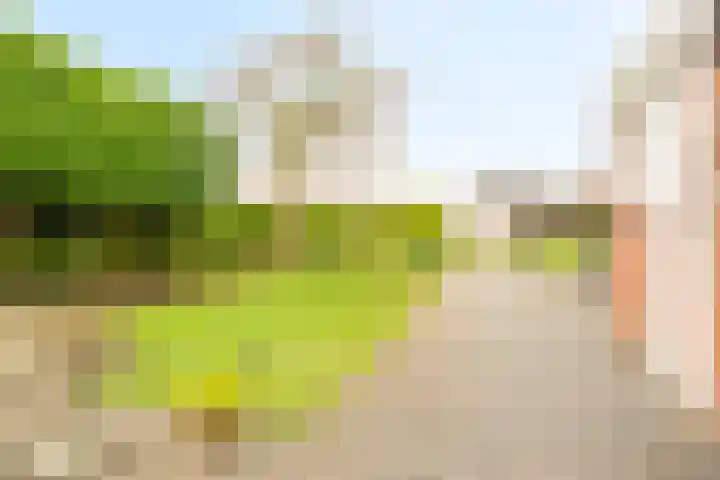Geerdinksweg 111 Hengelo thumbnail 42