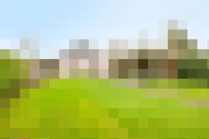 Geerdinksweg 111 Hengelo thumbnail 43