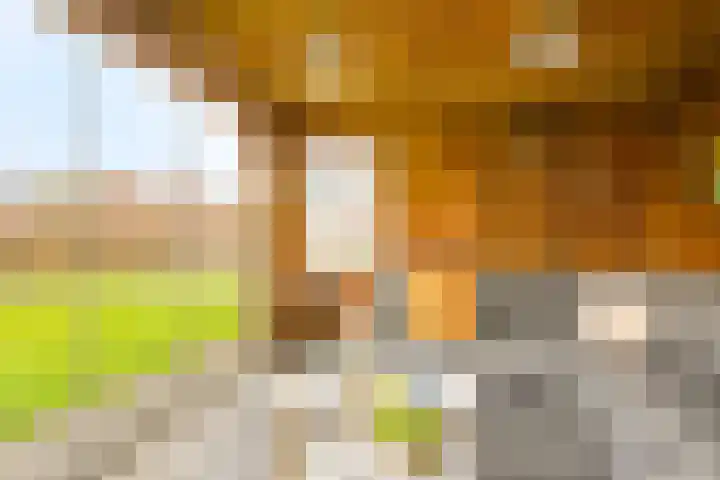 Geerdinksweg 111 Hengelo thumbnail 44