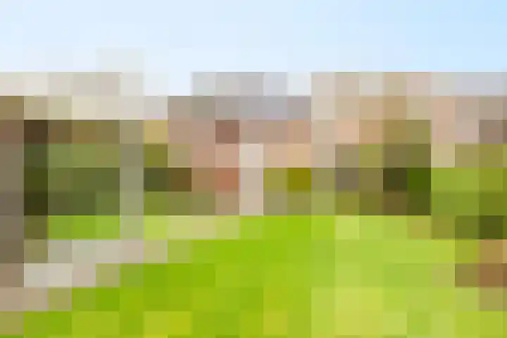 Geerdinksweg 111 Hengelo thumbnail 46