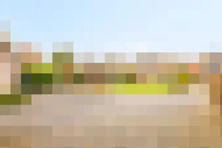 Geerdinksweg 111 Hengelo thumbnail 48