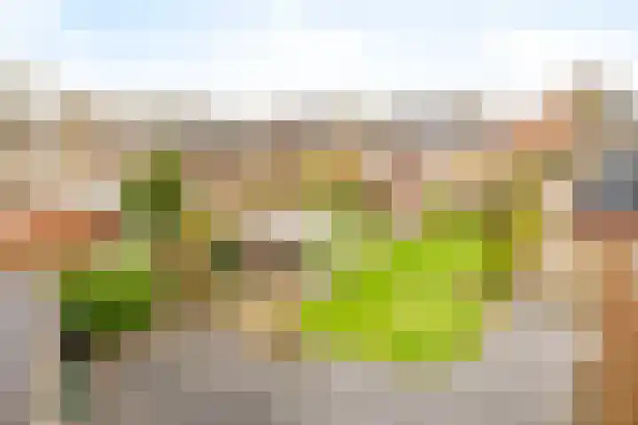 Geerdinksweg 111 Hengelo thumbnail 50