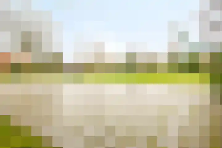 Geerdinksweg 111 Hengelo thumbnail 54