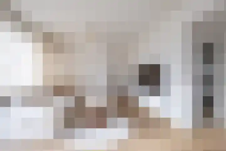 Geerdinksweg 114 I Hengelo thumbnail 13