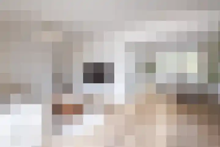 Geerdinksweg 114 I Hengelo thumbnail 14