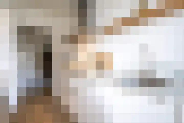 Geerdinksweg 114 I Hengelo thumbnail 19