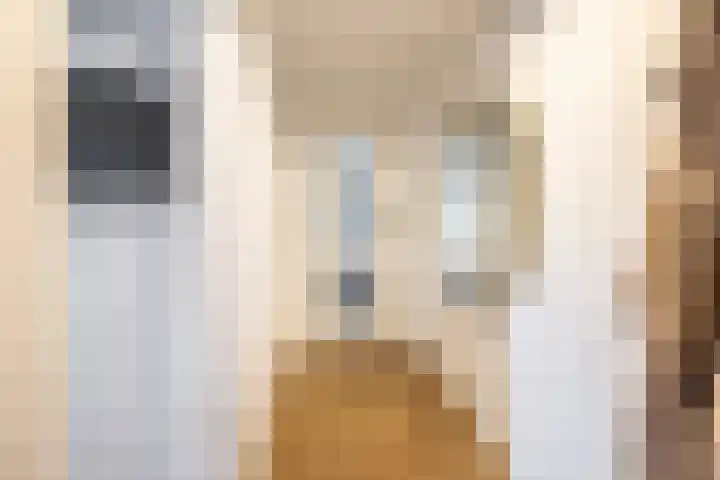 Geerdinksweg 114 I Hengelo thumbnail 21