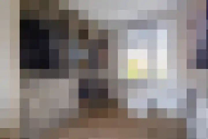 Geerdinksweg 114 I Hengelo thumbnail 28