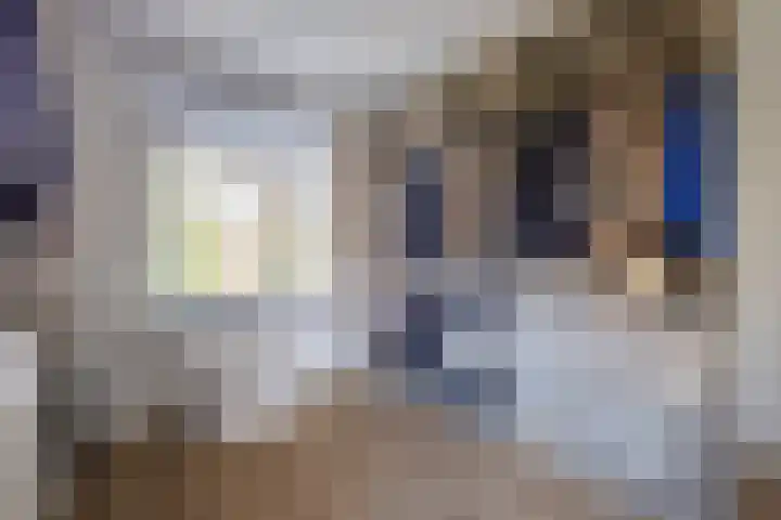 Geerdinksweg 114 I Hengelo thumbnail 29