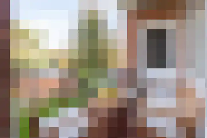 Geerdinksweg 114 I Hengelo thumbnail 32