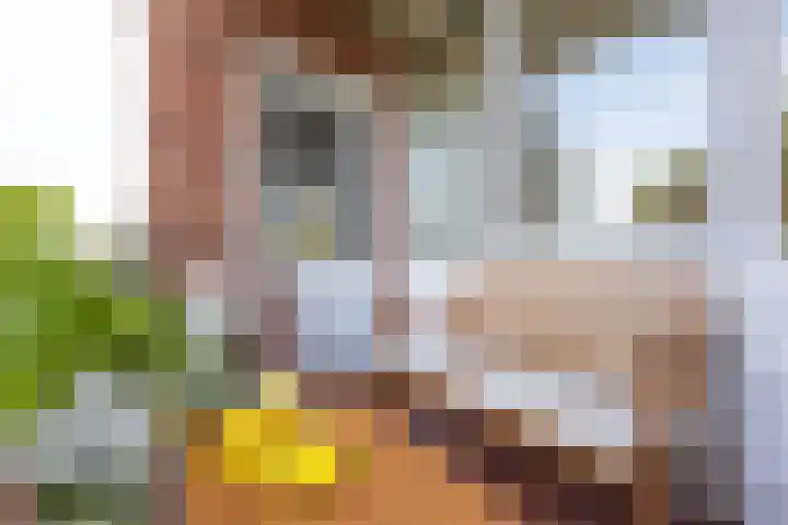 Geerdinksweg 114 I Hengelo thumbnail 36