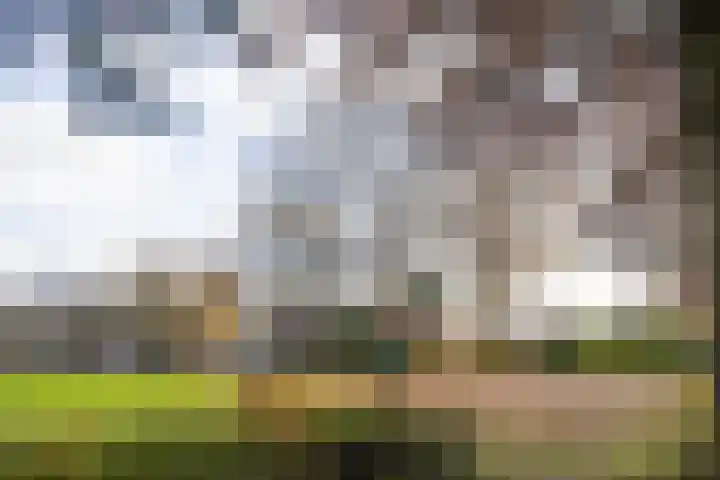 Geerdinksweg 114 I Hengelo thumbnail 41