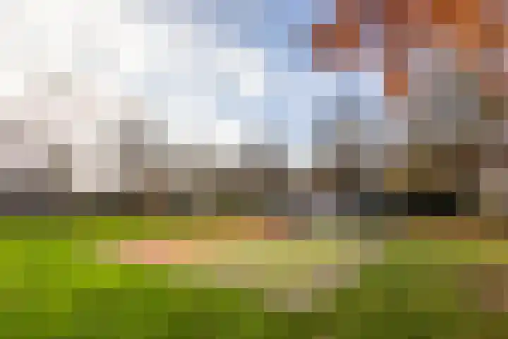 Geerdinksweg 114 I Hengelo thumbnail 43