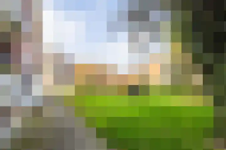Geerdinksweg 114 I Hengelo thumbnail 8