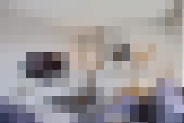 Geerdinksweg 120 II Hengelo thumbnail 14
