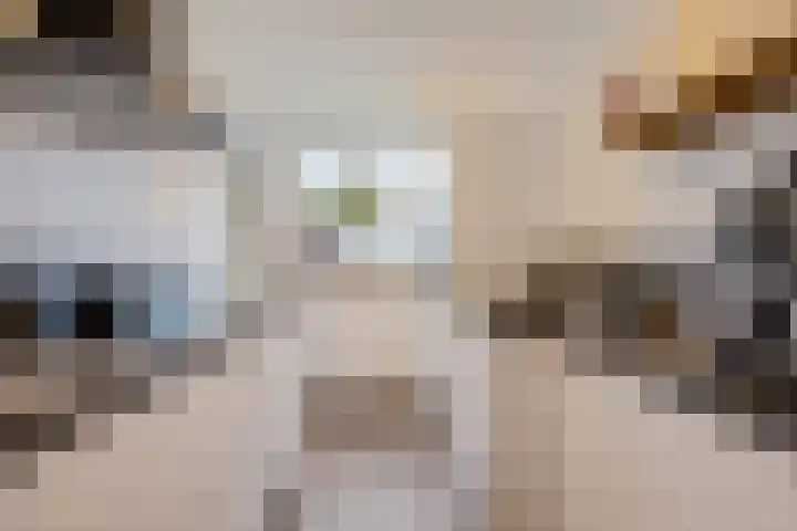 Geerdinksweg 120 II Hengelo thumbnail 23