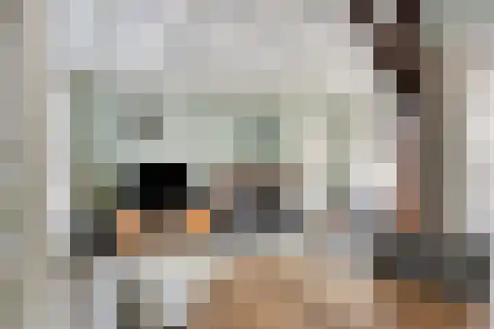 Geerdinksweg 46 Hengelo thumbnail 13