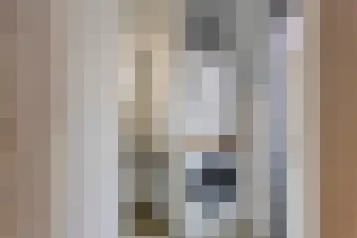 Geerdinksweg 46 Hengelo thumbnail 18