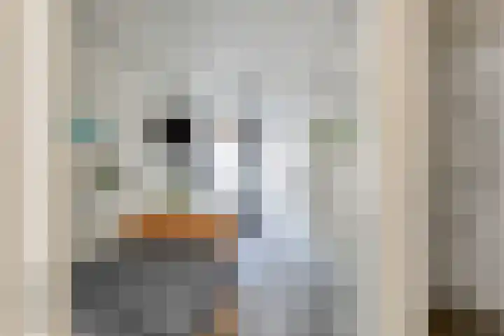 Geerdinksweg 46 Hengelo thumbnail 21