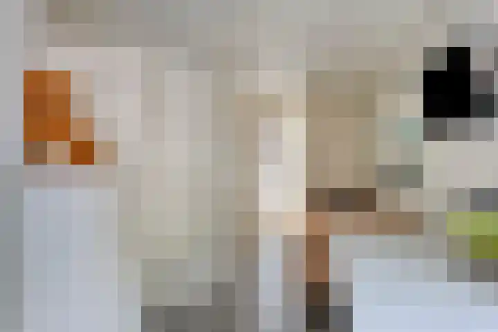 Geerdinksweg 46 Hengelo thumbnail 22