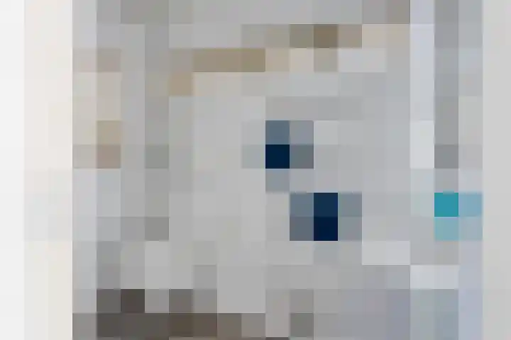 Geerdinksweg 46 Hengelo thumbnail 23
