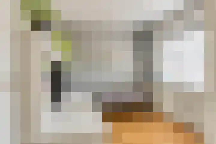 Geerdinksweg 46 Hengelo thumbnail 26