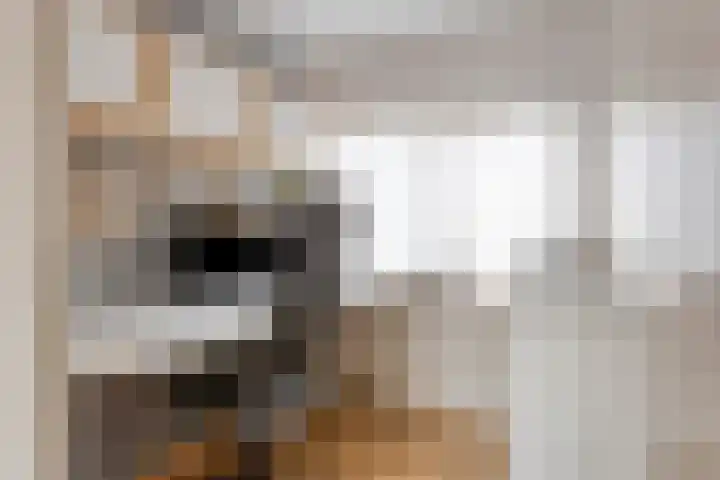 Geerdinksweg 46 Hengelo thumbnail 31
