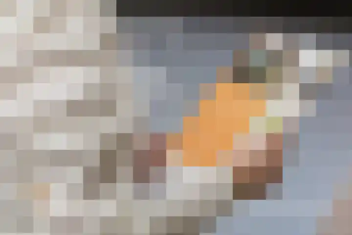 Geerdinksweg 46 Hengelo thumbnail 38