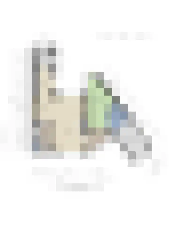 Geerdinksweg 46 Hengelo thumbnail 39