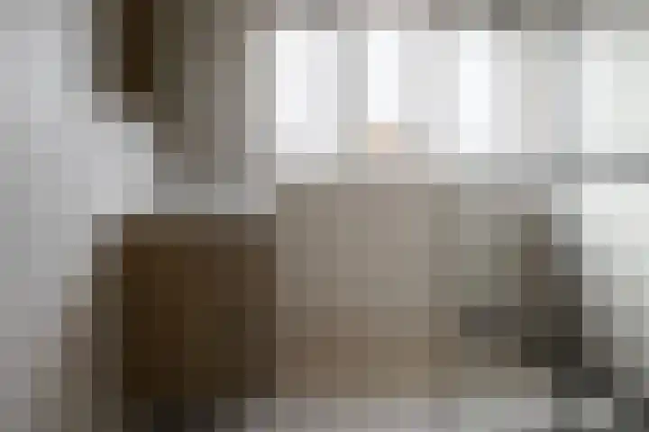 Geerdinksweg 52 B Hengelo thumbnail 13