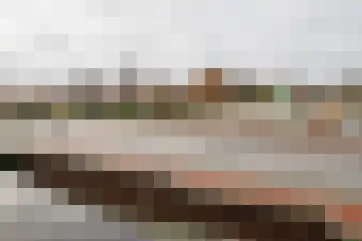 Geerdinksweg 52 B Hengelo thumbnail 24