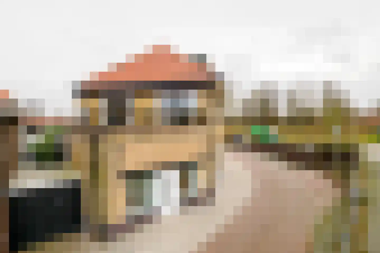 Geerdinksweg 52 D Hengelo thumbnail 20