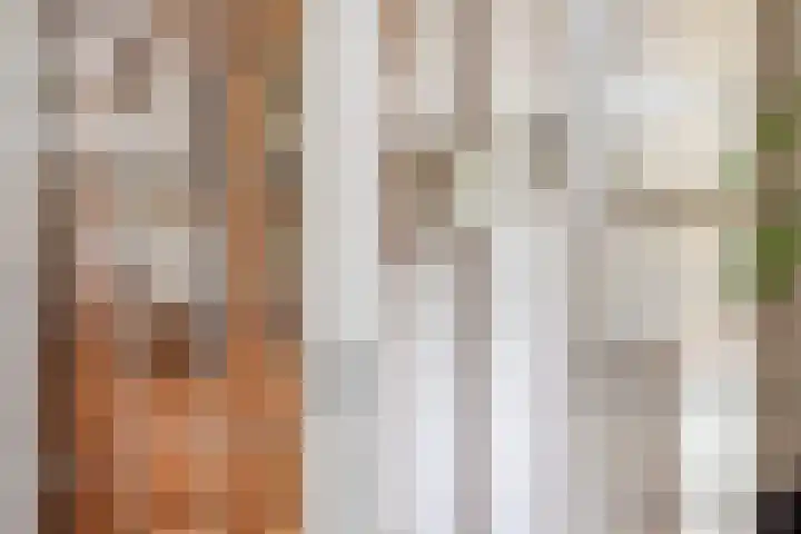 Geerdinksweg 62 Hengelo thumbnail 12