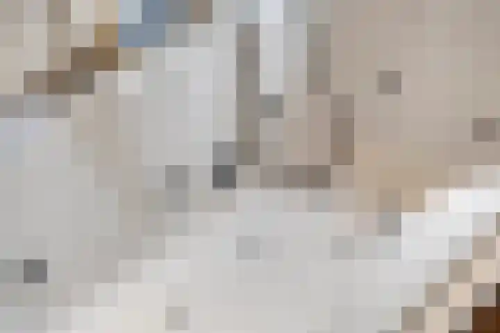 Geerdinksweg 62 Hengelo thumbnail 20
